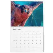 CALENDRIER ART DES OISEAUX DE PROIE #1 (Mar 2027)