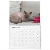 Calendrier Art d'humour de chat Sphynx | Conception de citati (Feb 2027)