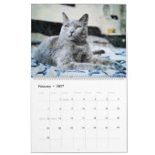 Calendrier Art russe magnifique d'aquarelle de chat bleu de (Feb 2027)