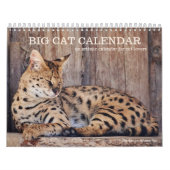 Calendrier artistique de Big Cat (Protection)