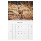 Calendrier artistique de Wild Deer (Mar 2027)