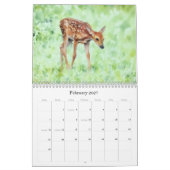 Calendrier artistique de Wild Deer (Feb 2027)