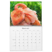 Calendrier artistique des oiseaux naturels (Mar 2027)