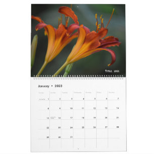 Calendrier artistique promotionnel de ARTIST