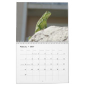 Calendrier Aruba 2022 (Feb 2027)