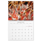 Calendrier ASMR micro : Dégivrez (Jan 2027)