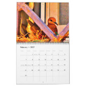 Calendrier Attente avec Mama Dove (Feb 2027)