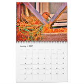 Calendrier Attente avec Mama Dove (Jan 2027)