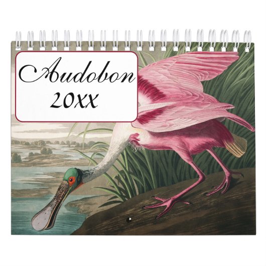 Calendrier Audobon Bird (Protection)