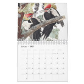 Calendrier Audobon Bird (Jan 2027)