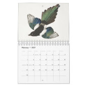 Calendrier Audobon Bird (Feb 2027)