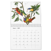 Calendrier Audobon Bird (Mar 2027)