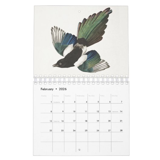 Calendrier Audobon Bird (Feb 2026)