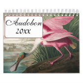 Calendrier Audobon Bird (Protection)