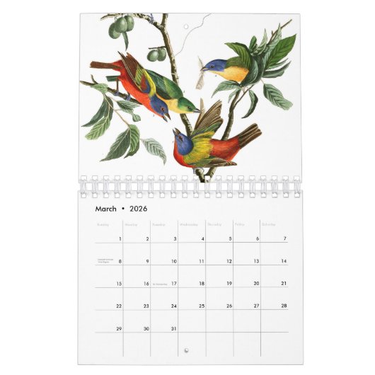 Calendrier Audobon Bird (Mar 2026)