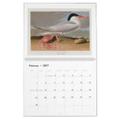 Calendrier Audubon's Marsh and Shore Birds 2026 (Feb 2027)