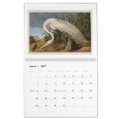 Calendrier Audubon's Marsh and Shore Birds 2026 (Mar 2027)
