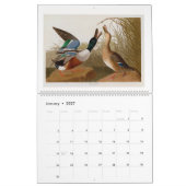 Calendrier Audubon's Marsh and Shore Birds 2026 (Jan 2027)