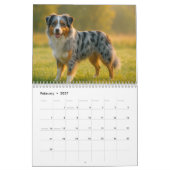 Calendrier Australian Shepherd Calendar 2026 (Feb 2027)