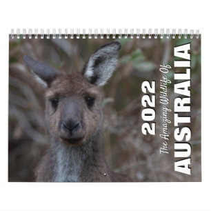 Calendrier Australie 2025 Photo d'un animal sauvage