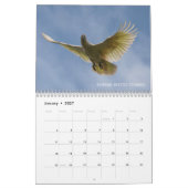 Calendrier Australie Birds 2022 (Jan 2027)