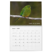 Calendrier Australie Birds 2022 (Mar 2027)
