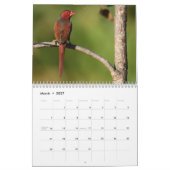 Calendrier australien d'oiseaux (Mar 2027)
