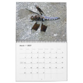 Calendrier - Autour de l'étang (Mar 2027)