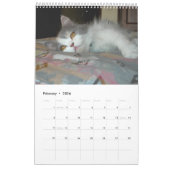 Calendrier avec des chats - customisés (Feb 2026)