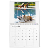 Calendrier avec images de chien (Feb 2027)