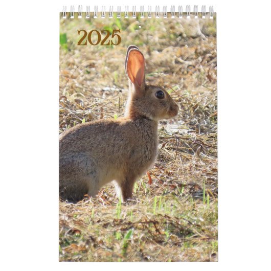 Calendrier avec images de la nature (Protection)