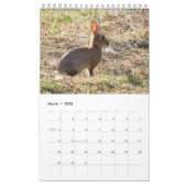 Calendrier avec images de la nature (Mar 2026)