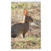 Calendrier avec images de la nature (Protection)
