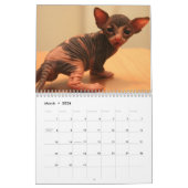 Calendrier avec les chatons mignons d'un sphynx (Mar 2026)