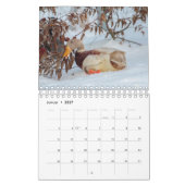 Calendrier Avec les fugitifs de l'année ! (Jan 2027)