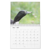 Calendrier Avec les fugitifs de l'année ! (Mar 2027)