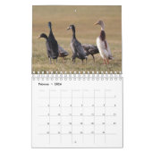 Calendrier Avec les fugitifs de l'année ! (Feb 2026)