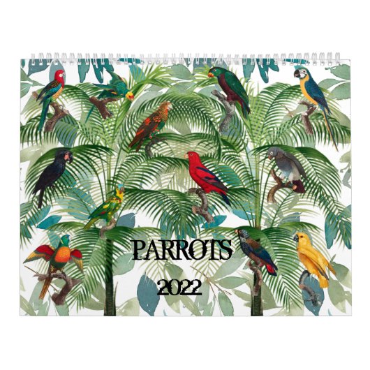 Calendrier avec perroquets tropicaux (Protection)