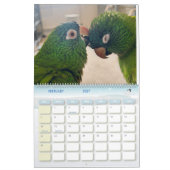 Calendrier Avian Avenue 2026 Parrot Calendar (Feb 2027)