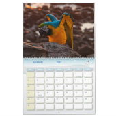 Calendrier Avian Avenue 2026 Parrot Calendar (Jan 2027)