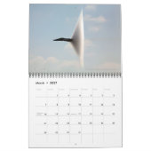 CALENDRIER AVIATION MILITAIRE AMÉRICAINE (Mar 2027)