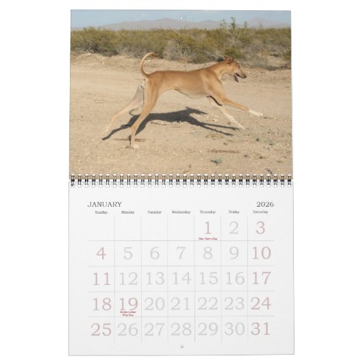 Calendrier Azawakh 2011 (Jan 2026)