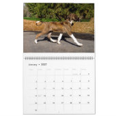 CALENDRIER AZAWAKH 2016 (Jan 2027)