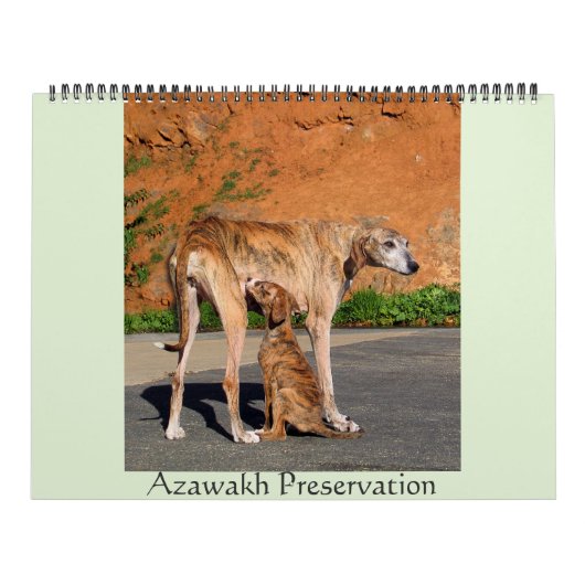 CALENDRIER AZAWAKH 2016 (Protection)