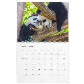 Calendrier Baby panda géant (Mar 2026)