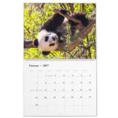 Calendrier Baby panda géant (Feb 2027)