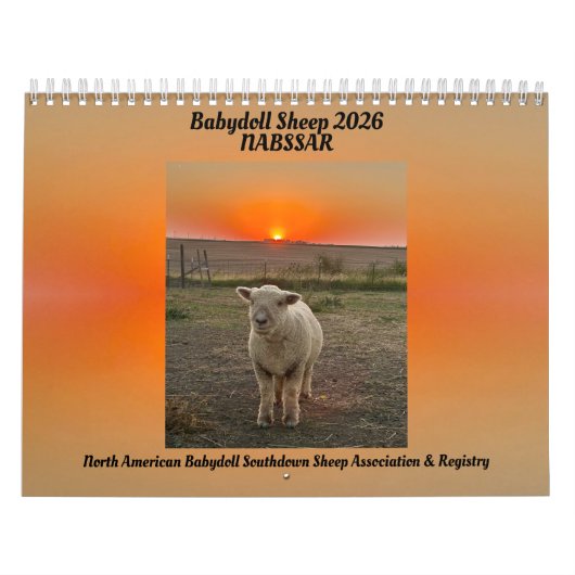 Calendrier Babydoll Southdown Sheep 2026 NABSSAR Calendar (Protection)