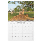 Calendrier Babydoll Southdown Sheep 2026 NABSSAR Calendar (Feb 2026)