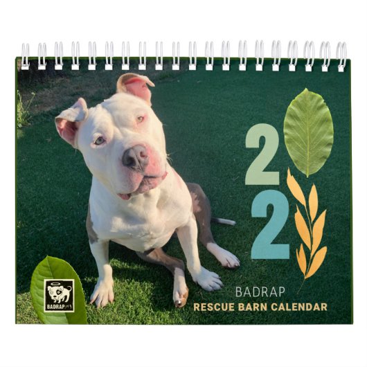 Calendrier BADRAP Secourt Barn 2021 (Protection)