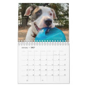 Calendrier BADRAP Secourt Barn 2021 (Jan 2027)